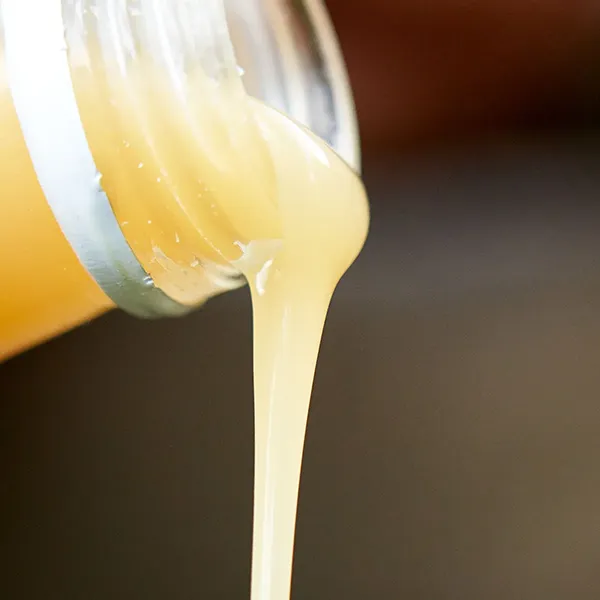 Liquid & Attractors